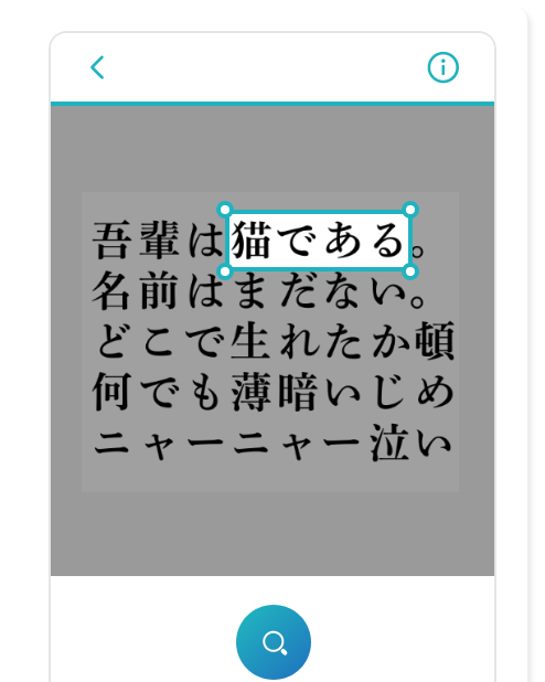 文字の箇所を囲って検索